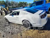 2014 Ford MUSTANG фото