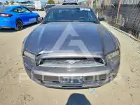2014 Ford MUSTANG фото