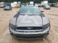 2014 Ford MUSTANG фото