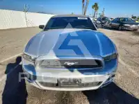 2014 Ford MUSTANG фото