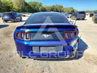 2014 Ford MUSTANG photo