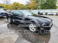 2014 Ford MUSTANG photo
