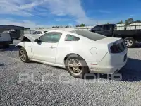 2014 Ford MUSTANG photo