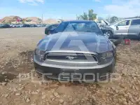 2014 Ford MUSTANG photo