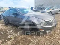 2014 Ford MUSTANG photo