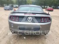 2014 Ford MUSTANG фото