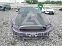 2014 Ford MUSTANG photo