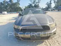 2014 Ford MUSTANG фото