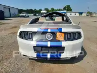 2014 Ford MUSTANG фото