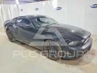 2014 Ford MUSTANG фото