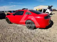 2014 Ford MUSTANG photo