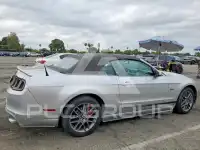 2014 Ford MUSTANG фото