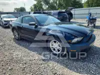 2014 Ford MUSTANG photo
