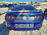 2014 Ford MUSTANG photo