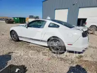 2014 Ford MUSTANG фото
