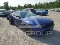 2014 Ford MUSTANG фото