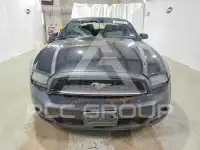2014 Ford MUSTANG фото