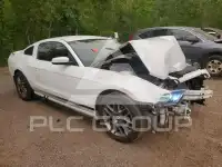 2014 Ford MUSTANG фото