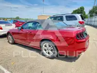 2014 Ford MUSTANG фото