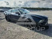 2014 Ford MUSTANG фото