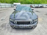2014 Ford MUSTANG фото