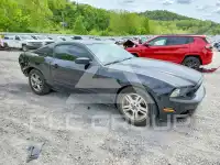 2014 Ford MUSTANG фото