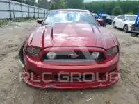 2014 Ford MUSTANG photo