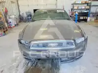 2014 Ford MUSTANG фото