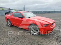 2014 Ford MUSTANG photo