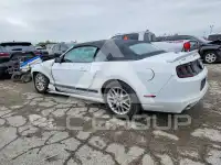 2014 Ford MUSTANG photo