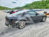 2014 Ford MUSTANG фото