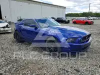 2014 Ford MUSTANG photo