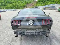 2014 Ford MUSTANG фото