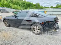 2014 Ford MUSTANG фото