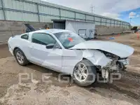 2014 Ford MUSTANG photo