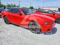 2014 Ford MUSTANG фото