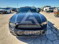 2014 Ford MUSTANG фото