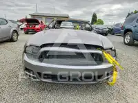 2014 Ford MUSTANG photo