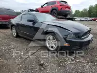 2014 Ford MUSTANG фото