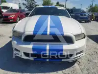 2014 Ford MUSTANG photo