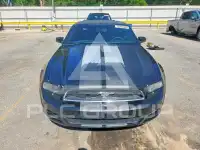 2014 Ford MUSTANG фото
