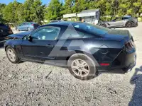 2014 Ford MUSTANG фото