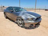 2014 Ford MUSTANG фото