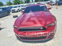 2014 Ford MUSTANG photo