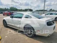 2014 Ford MUSTANG фото