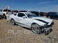 2014 Ford MUSTANG photo