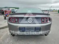 2014 Ford MUSTANG фото