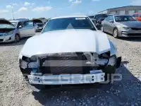2014 Ford MUSTANG фото
