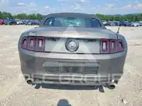 2014 Ford MUSTANG фото