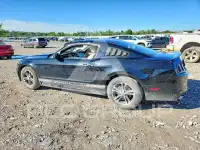 2014 Ford MUSTANG фото